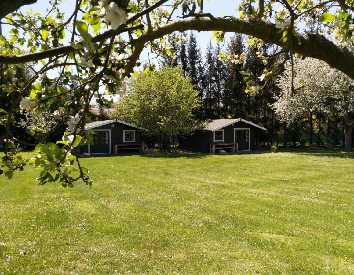 Camping & Guest House Pliskovice Mirovice Exteriér fotografie