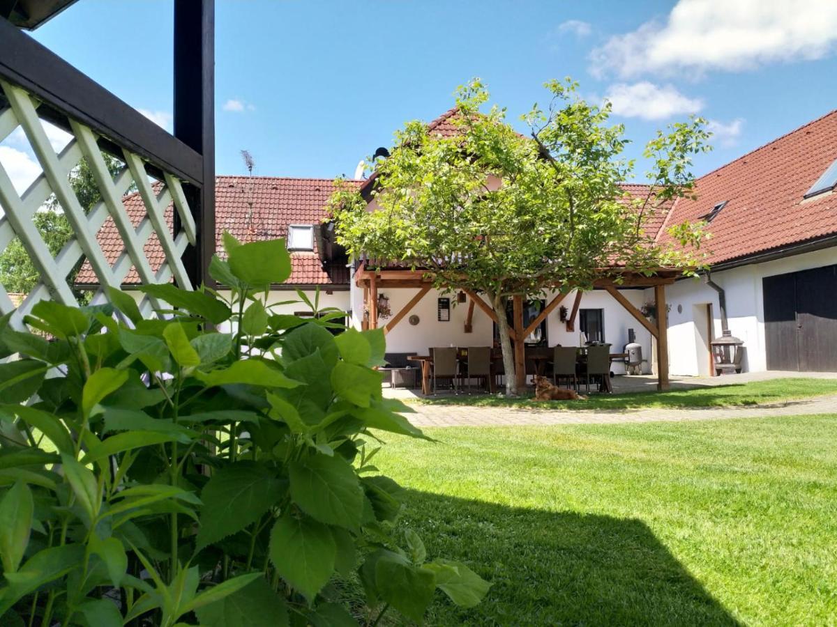 Camping & Guest House Pliskovice Mirovice Exteriér fotografie